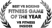 Best VR Boxing Fitness Game of the Year, VR Fitness Insider